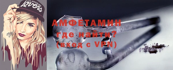индика Мегион