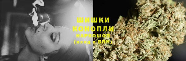 индика Мегион
