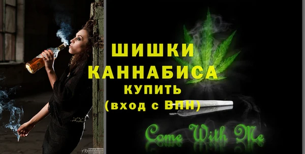 индика Мегион