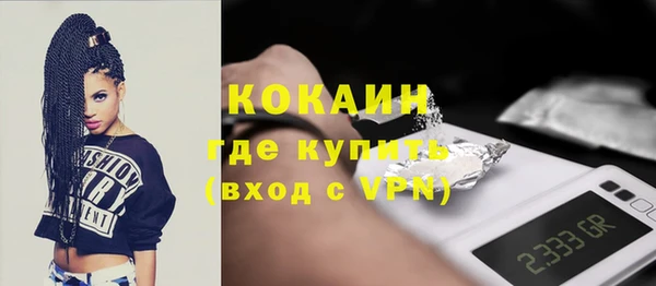 индика Мегион