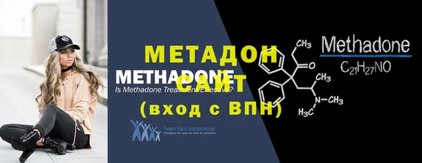 индика Мегион