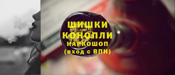 индика Мегион