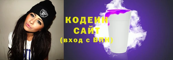 индика Мегион