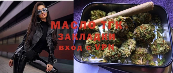 индика Мегион