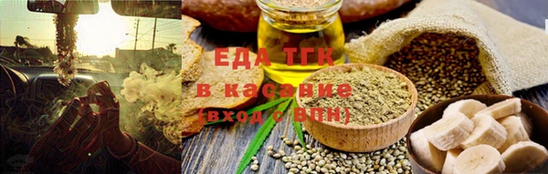 индика Мегион