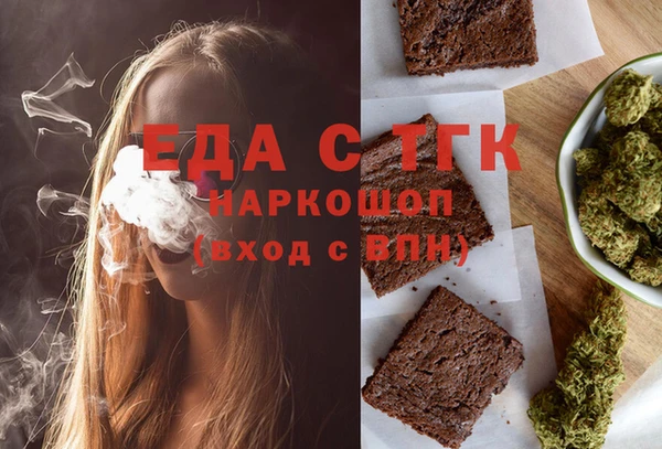 индика Мегион